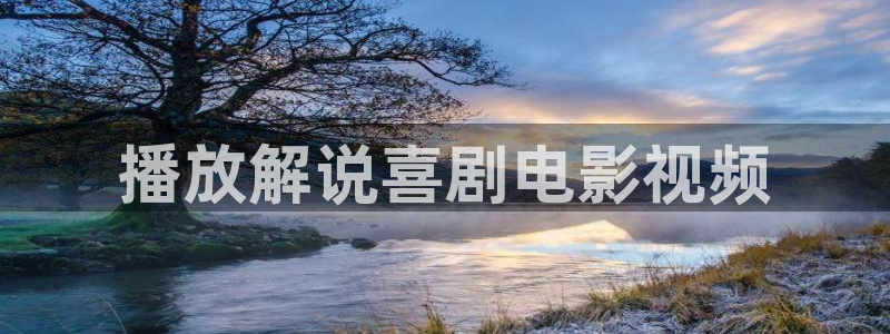 久久久久视频免费