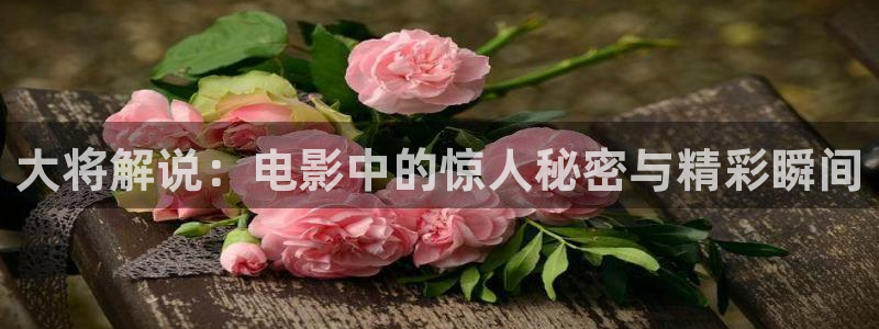 精品三级久久久久久电影