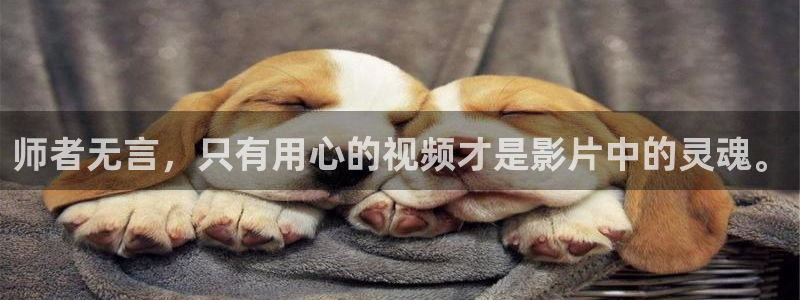 新久久视频