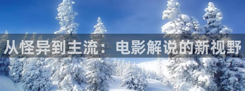 91久久视频国产