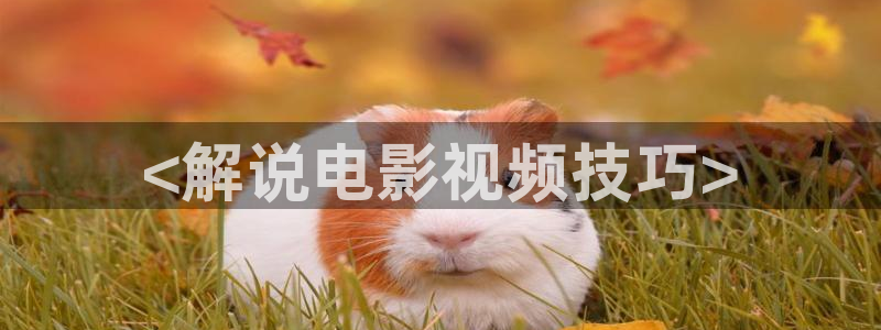 国产精品免费久久久久电影