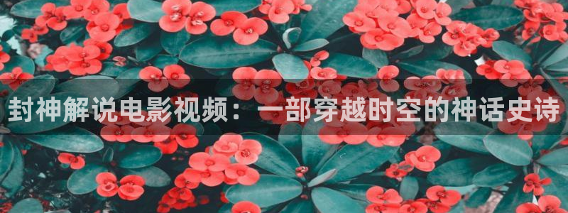 青久久久视频2019
