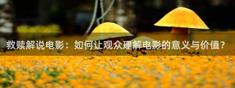 最新久久视频