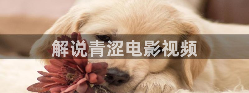 久久久久久久久亚洲精品免费电影