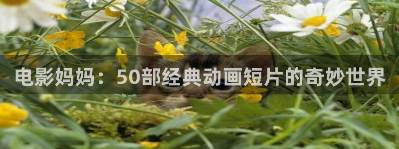 日韩精品久久久久久久电影99爱