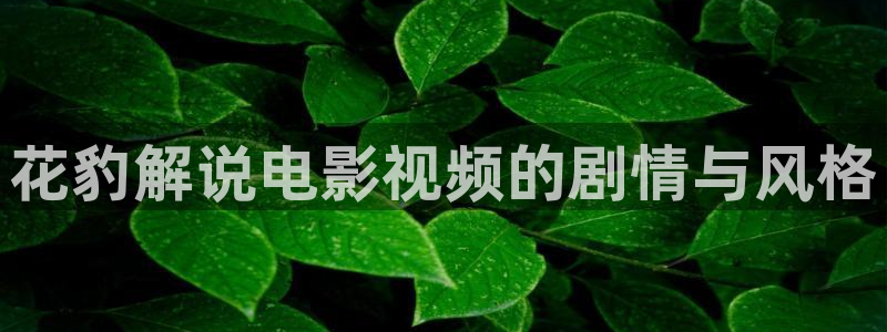 夫妻久久视频
