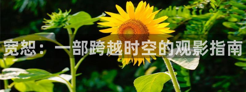 久久久深夜影院：宽恕：一部跨越时空的观影指南