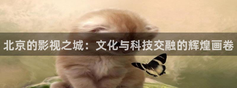 电影久久久久久