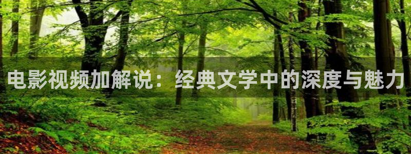 精品视频久久久久久久久