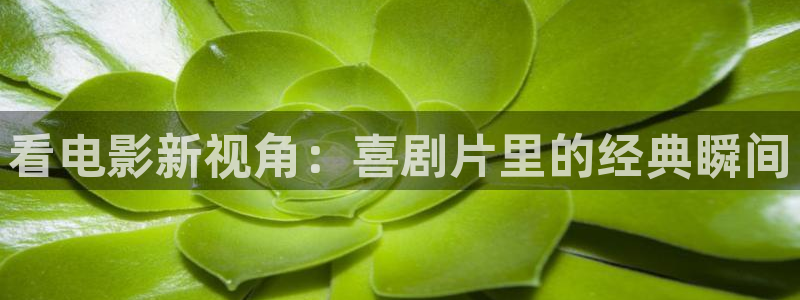 久久视频精品在线