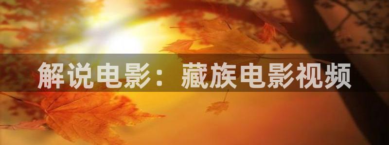 .久久视频