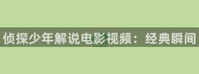 2019久久视频有精品