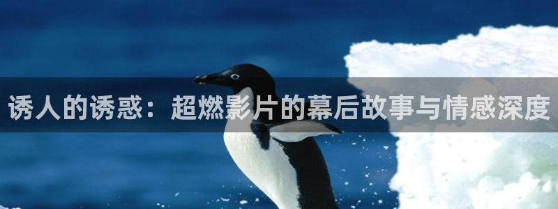 15久久久影院