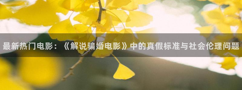 久久久久久熟女视频