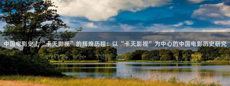 久久久久久a级视频